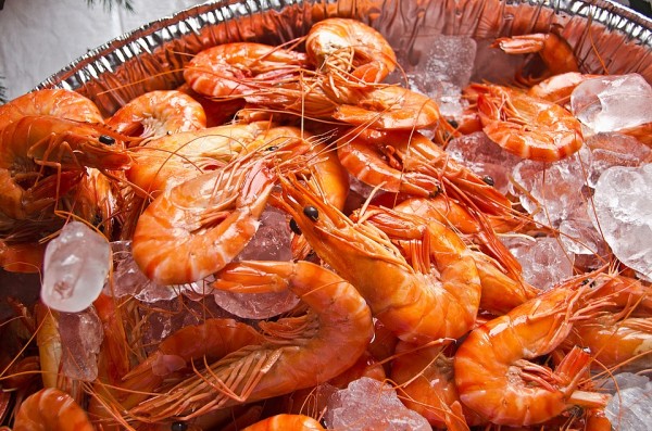 prawns2371440_960_720.jpg